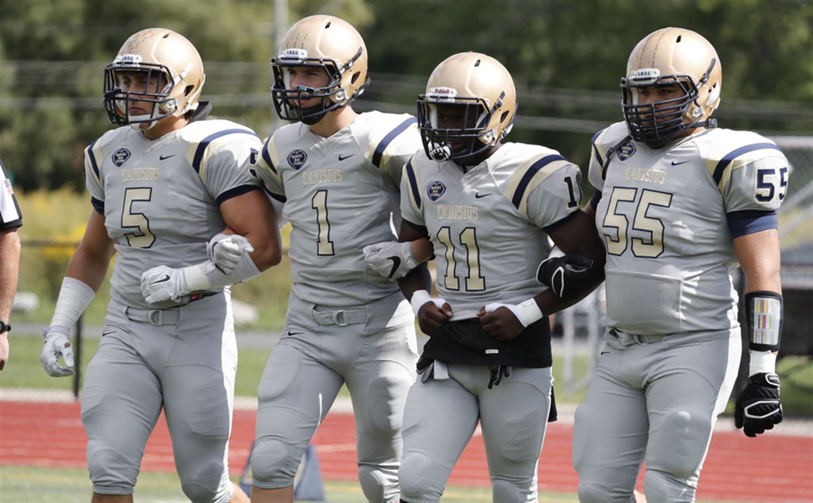 Canisius 55, St. Francis 13